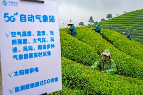 助力共同富裕 中國移動(dòng)在世界互聯(lián)網(wǎng)大會(huì)上發(fā)布五項(xiàng)創(chuàng)新方案，賦能臺(tái)州數(shù)字化建設(shè)