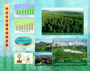 林業生態建設成效顯著，推動可持續發展