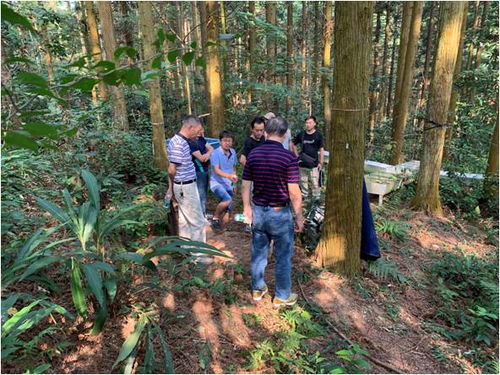 國家生態(tài)系統(tǒng)觀測研究網(wǎng)絡(luò)的商業(yè)價(jià)值與發(fā)展前景