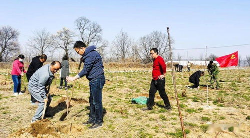 林業(yè)工作站 黨史學(xué)習(xí)教育氛圍濃厚 助推綠色發(fā)展新篇章