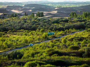 億利榮獲國家林業(yè)重點(diǎn)龍頭企業(yè)稱號，引領(lǐng)綠色工業(yè)發(fā)展