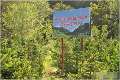 山林地被定性為自然林后的開發(fā)限制與應(yīng)對策略