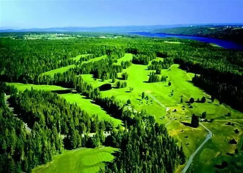 林業(yè)和草原應(yīng)對氣候變化取得新成效的商業(yè)啟示