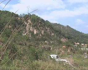 清明祭掃無火險，綠色安全共守護——林業部門提醒商業機構與公眾防火責任