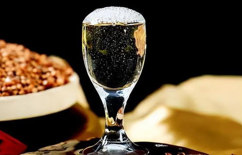 低價(jià)淘好酒有門道 避開即飲型，記住三要點(diǎn)，便宜也能喝到好滋味