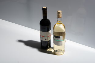 零酒精也能暢飲？探尋即飲型無酒精飲料的新風(fēng)潮